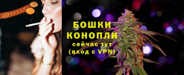 сатива Богородицк