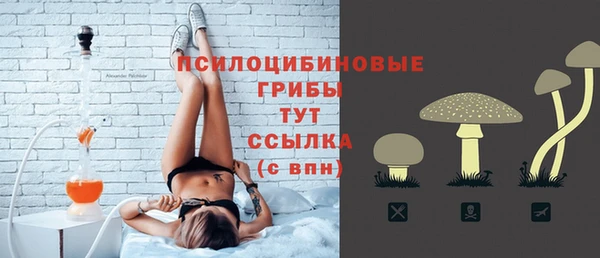 твердый Балахна