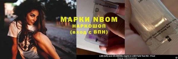 сатива Богородицк