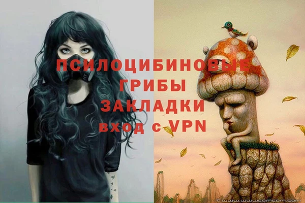 дурь Богданович