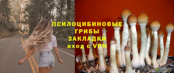 сатива Богородицк