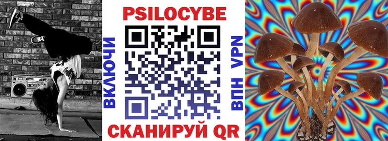 как найти закладки гидра рабочий сайт Галлюциногенные грибы Psilocybe Ворсма